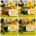 Golden Meadows Variety Pack